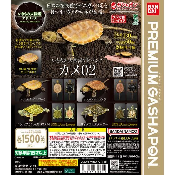 Bandai Gashapon - The Diversity Of Life On Earth Advance Turtle 02 (Set of 4)